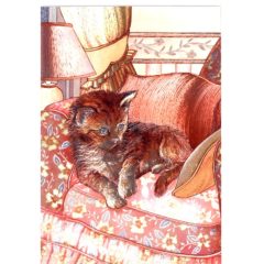 0392 Kitten on Armchair – Heron – Dufex