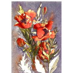 0421 Oriental Poppies – Heron – Dufex