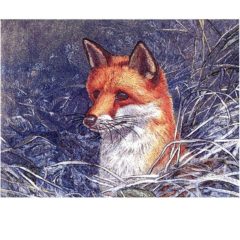 0710 Fox – Heron – Dufex
