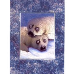 3697 Two Baby Seals – by Howard Robinson
