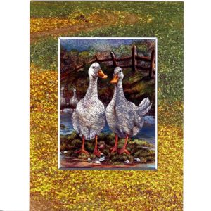 3702 Two Ducks – by Lynne Jones