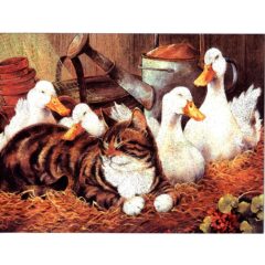 6641 Contentment – Cat Together with Goose – by lynne Jones