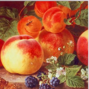 ESL27 Still Life of Peaches – by Henriette Ronner – Knip 1821-1909