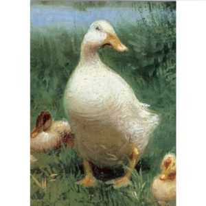FA13 Ducks – by David Adolph Constant Artz