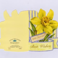 GE69 Spring Daffodil @ Brian Paterson