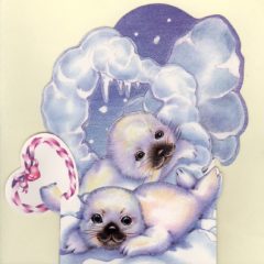 3D856 Seal Pups
