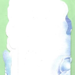 Carny PG78066 3D – Seal Pups
