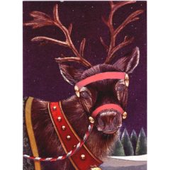 3690 Reindeer – by Lesley Hallas