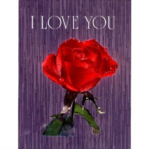6029 Red Rose – I Love You – by Scafa-Tornabene Art