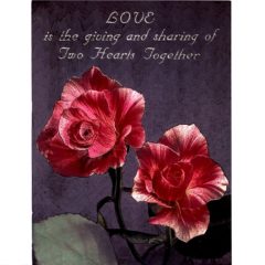 6606 Love is Giving -Two Red Roses – by Scafa Tornabene