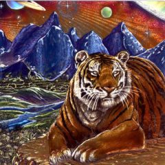 7085 Tiger & Mountains – by L. Gibbins of Advocate