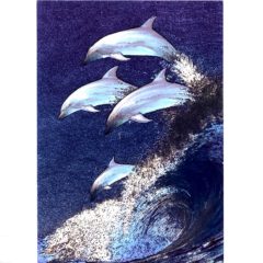 P1383 Dolphins – by Meiklejohn Graphics