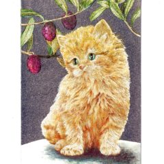 P1950 Ginger Kitten – Published by F.J. Warren Limited