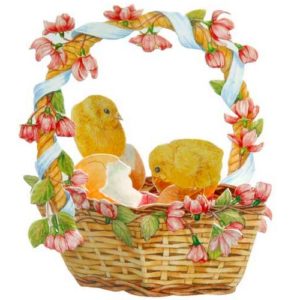 FB7 Chicks out of Eggs in a Basket