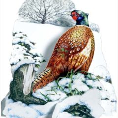 XCRL40 Pheasant in the Snow